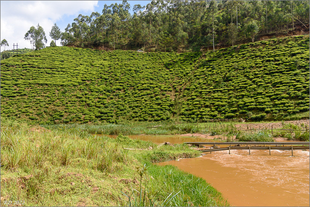 D75_7164.jpg
