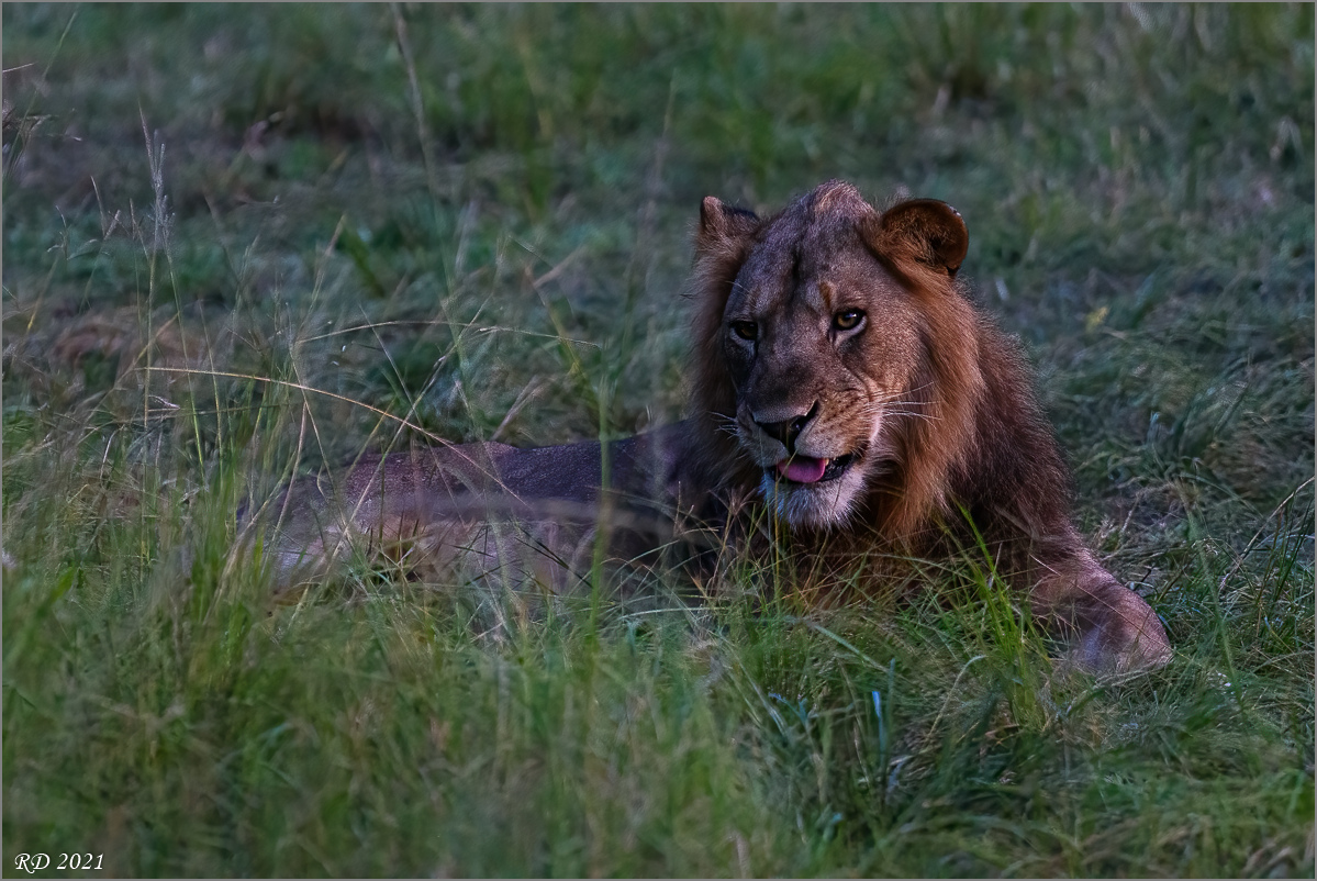 D75_7955-Bearbeitet-Bearbeitet.jpg