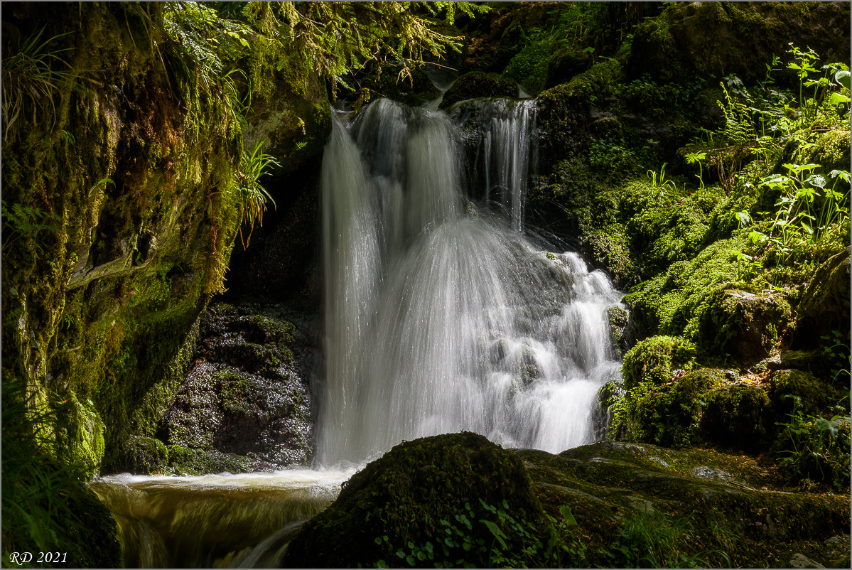 D75_8089.jpg