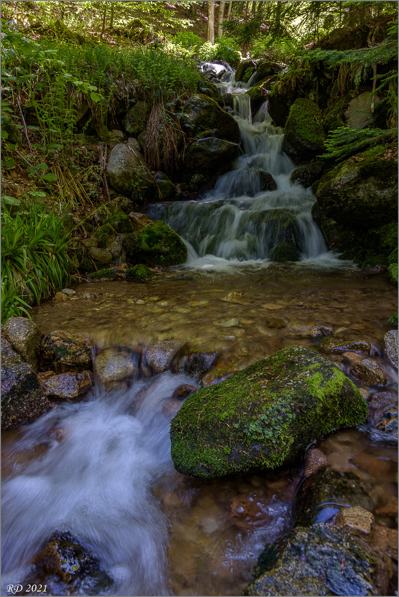 D75_8183.jpg