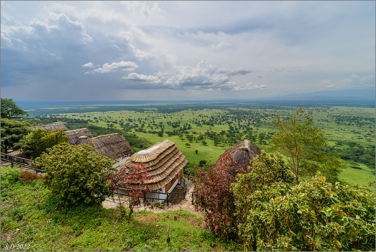 D75_8251.jpg