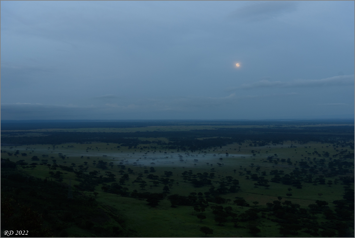 D75_8277.jpg