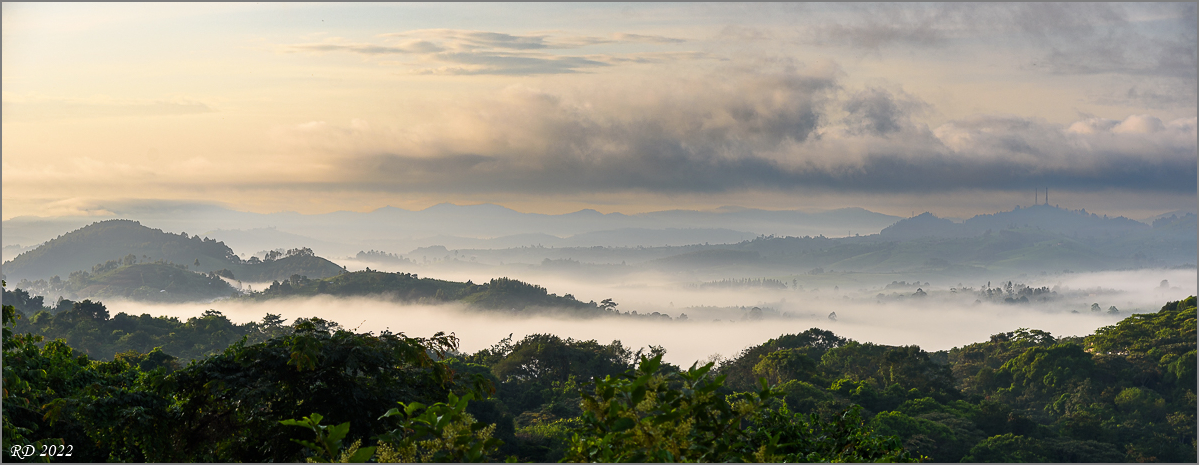 D75_8364.jpg