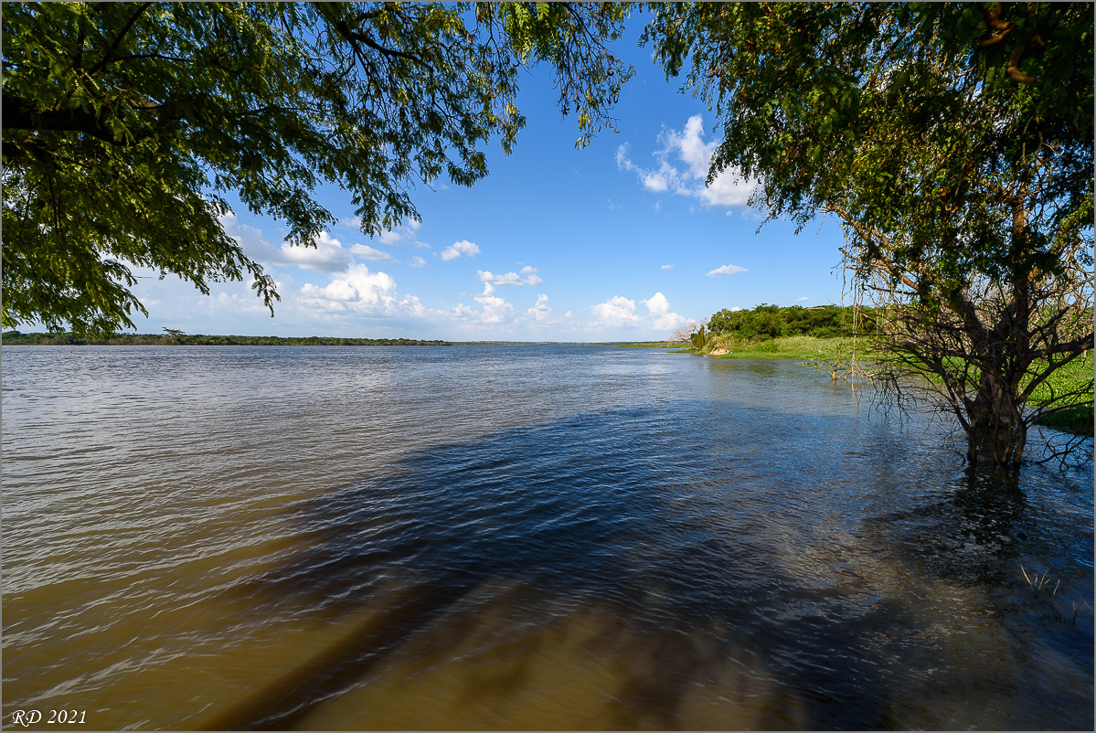 D75_8425.jpg