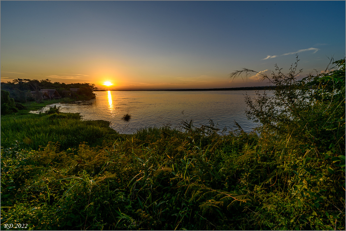 D75_8476.jpg