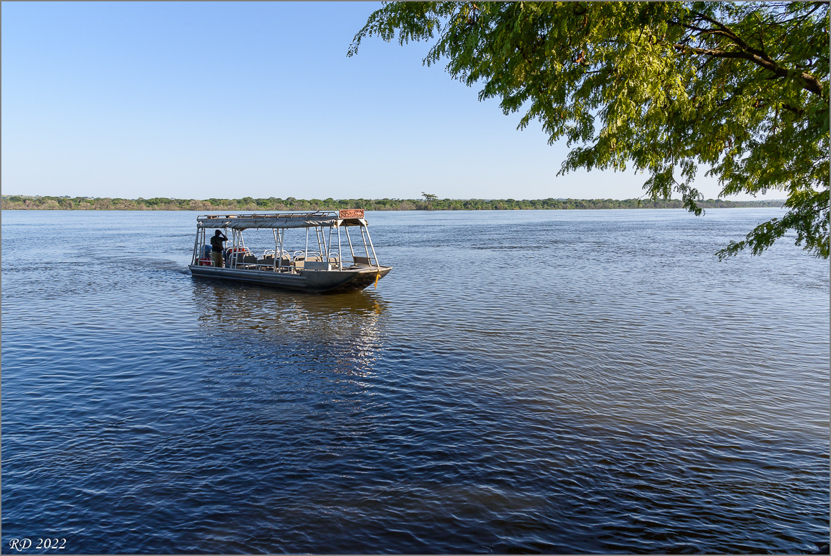 D75_8494.jpg