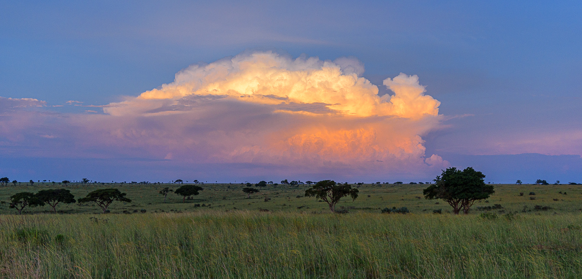 D75_8865.jpg
