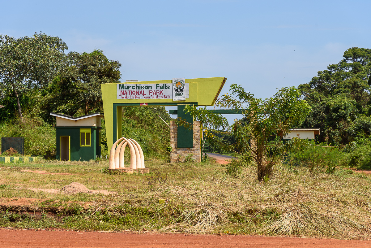 D75_8892.jpg