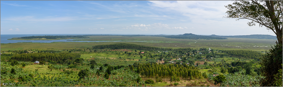 D75_9038-Pano.jpg