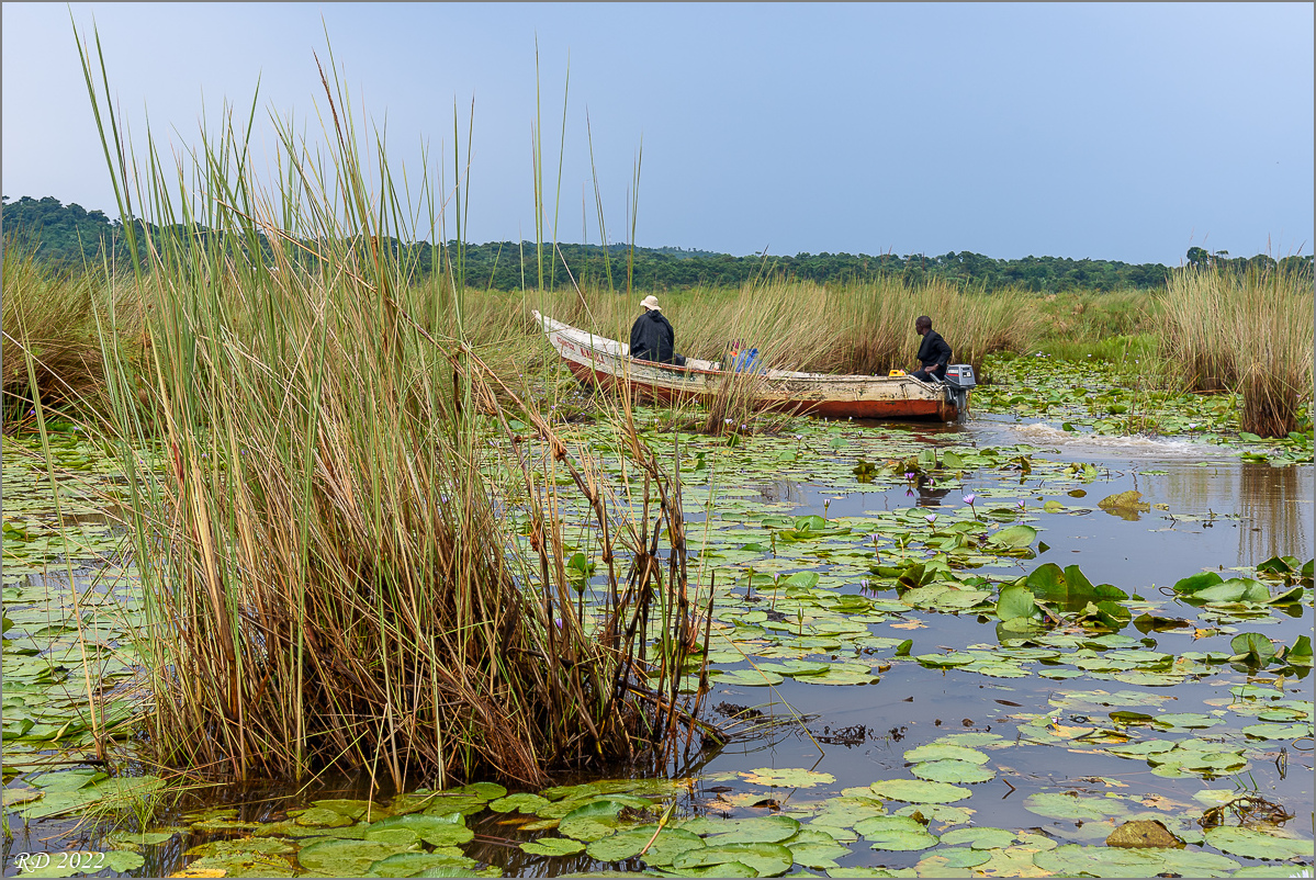 D75_9083.jpg