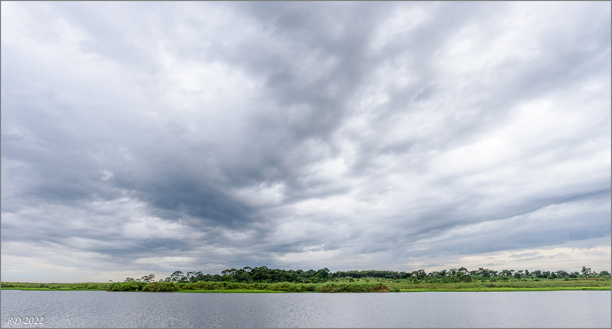 D75_9100.jpg