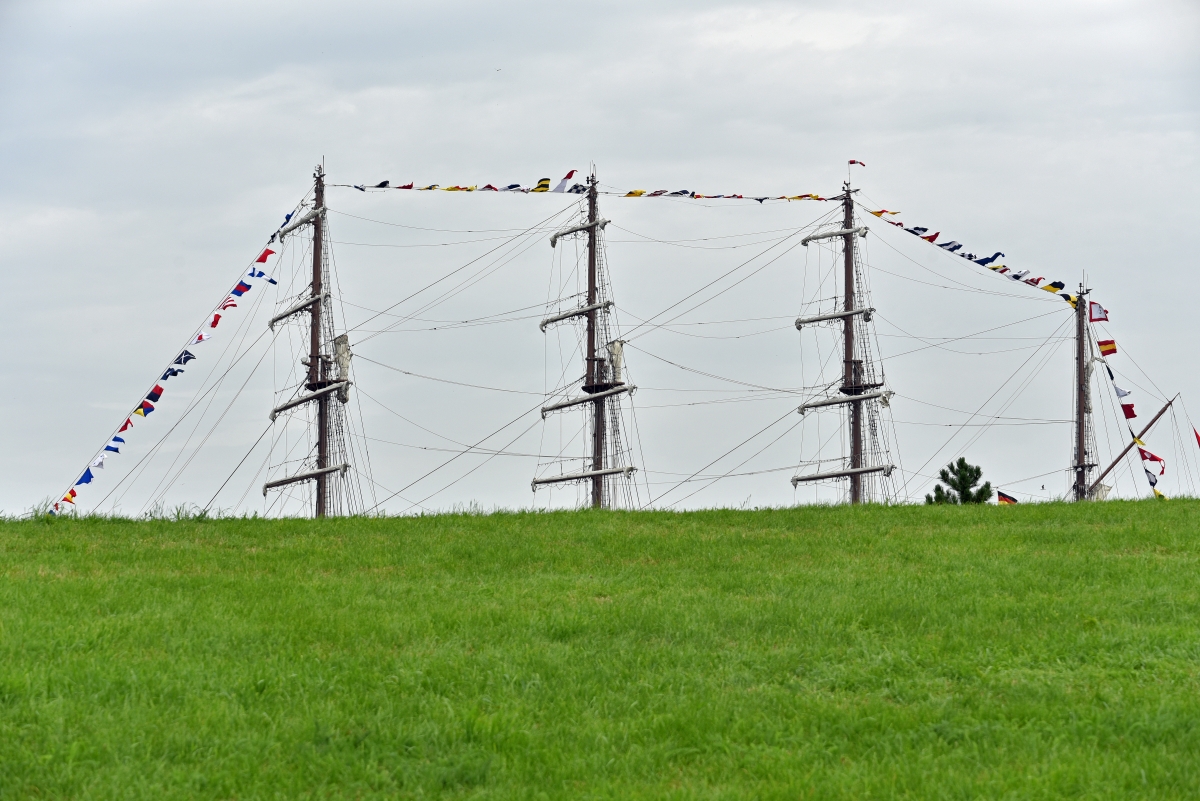 D75_9704.JPG
