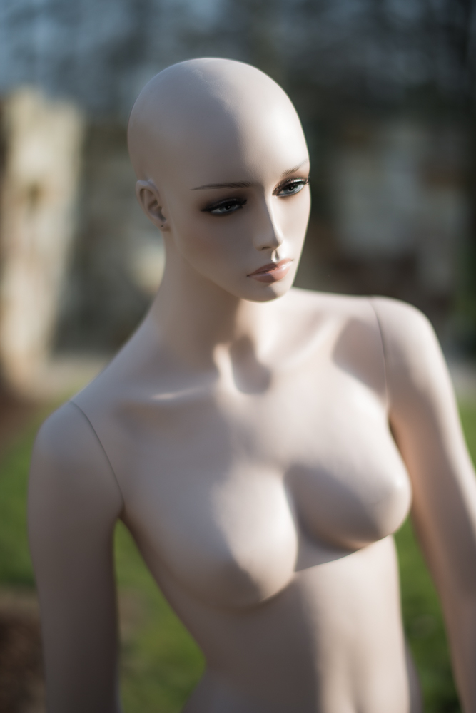D80 8223