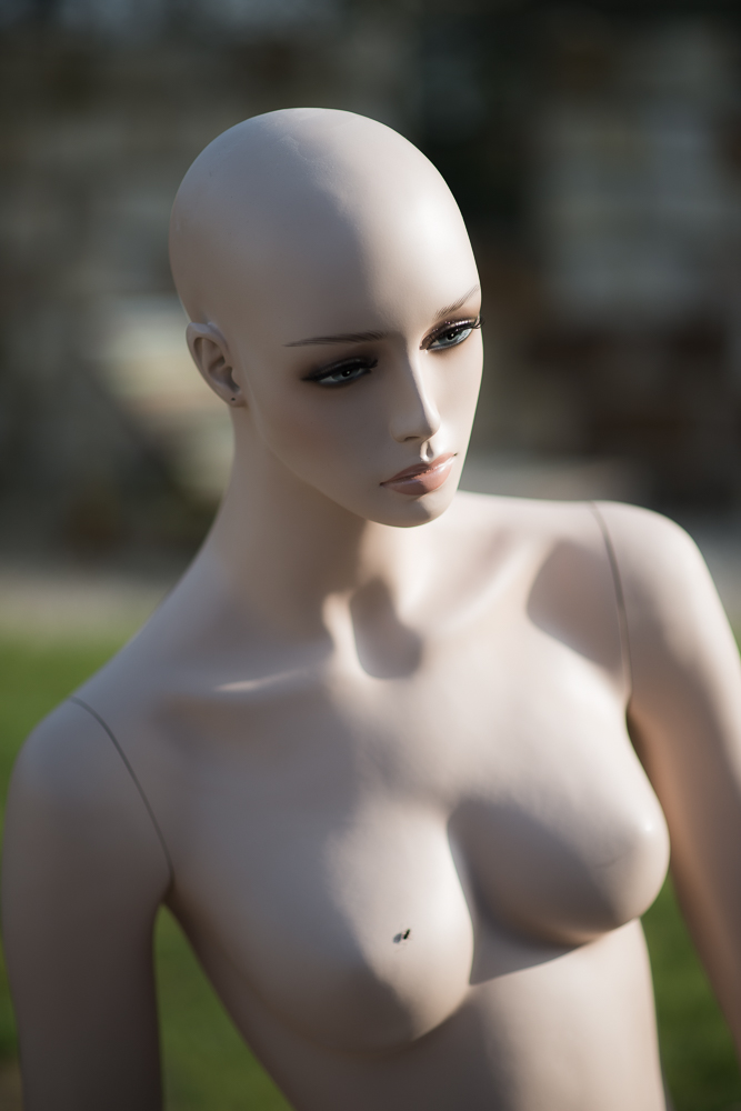 D80 8224