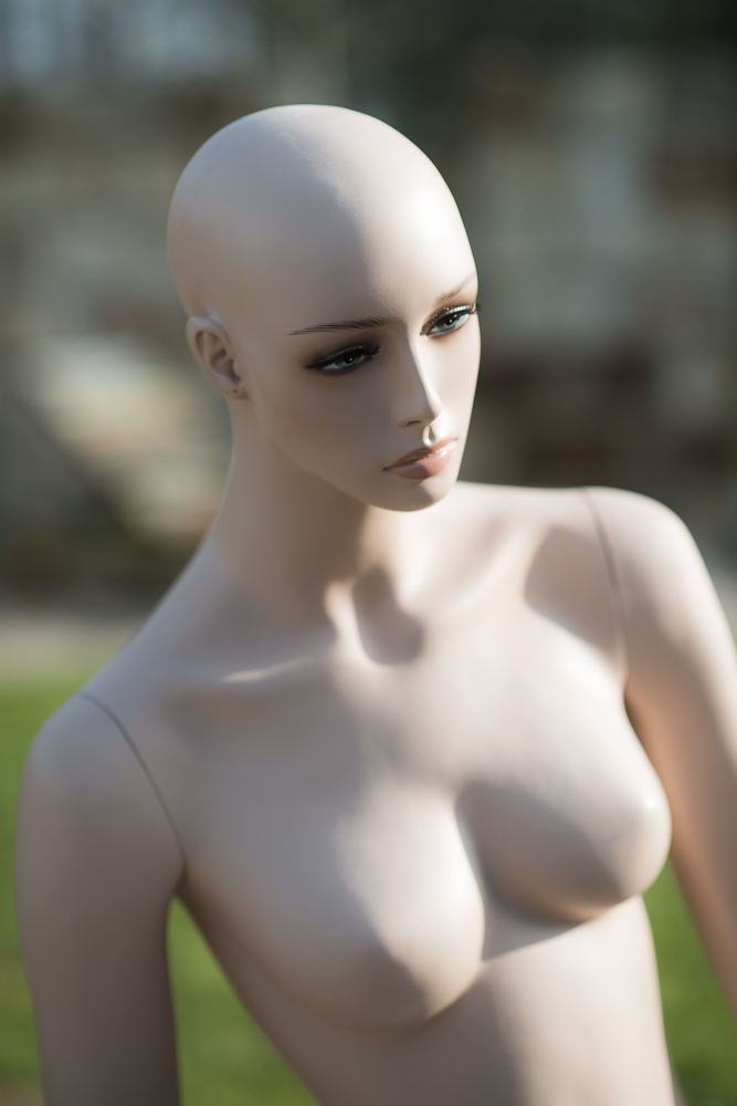 D80 8227