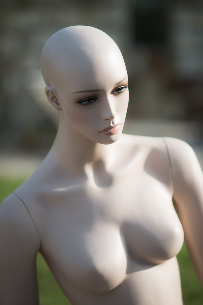 D80 8228
