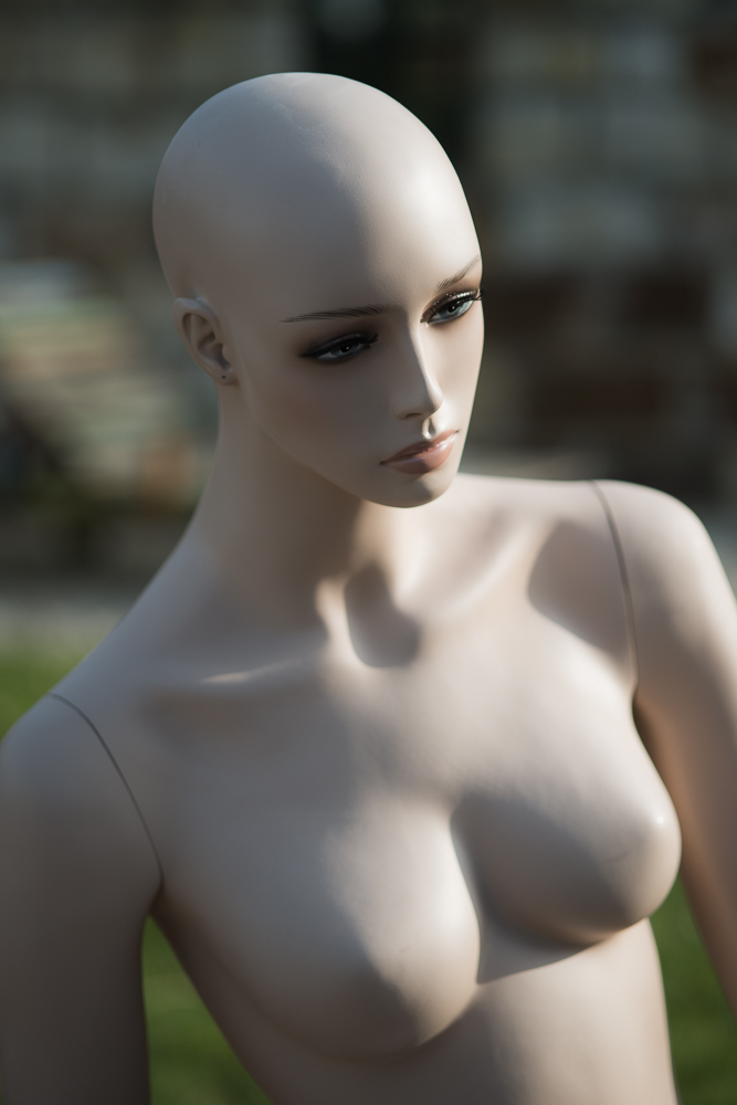 D80 8230