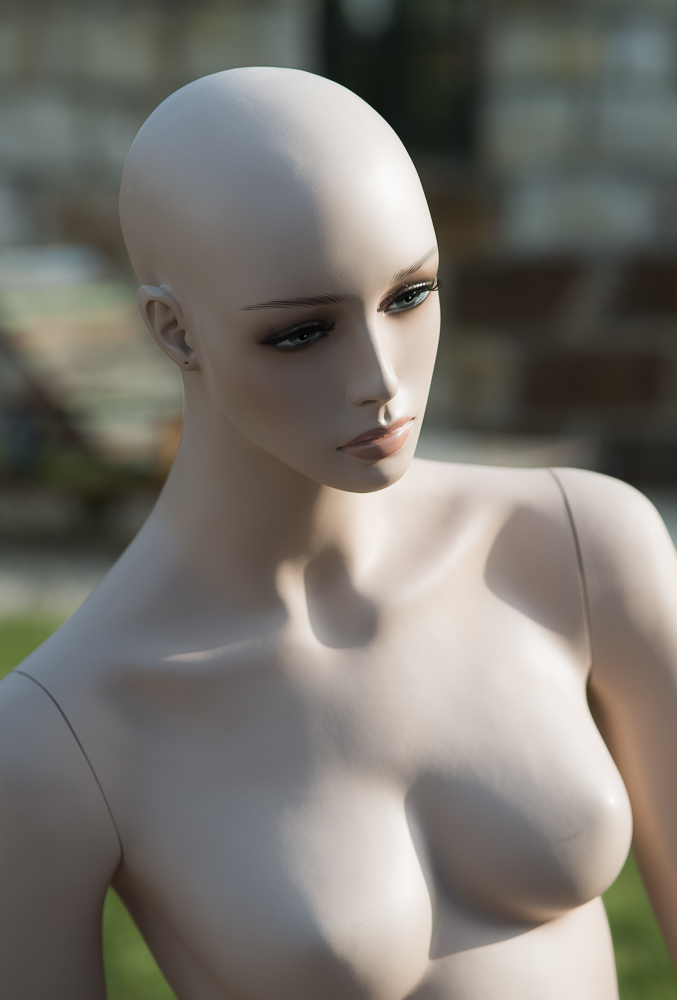 D80 8231