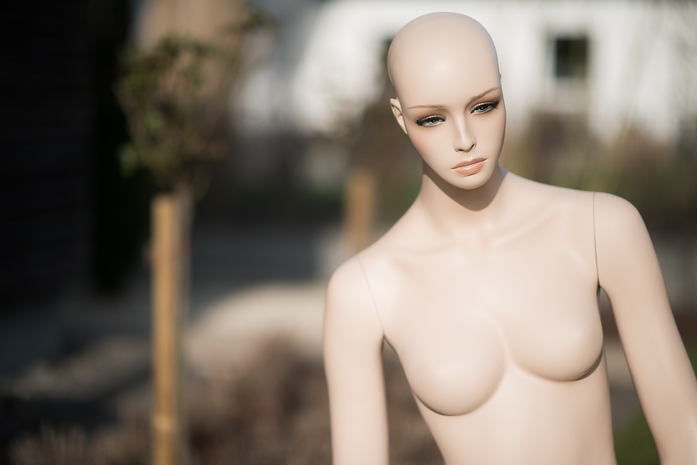 D80 8256