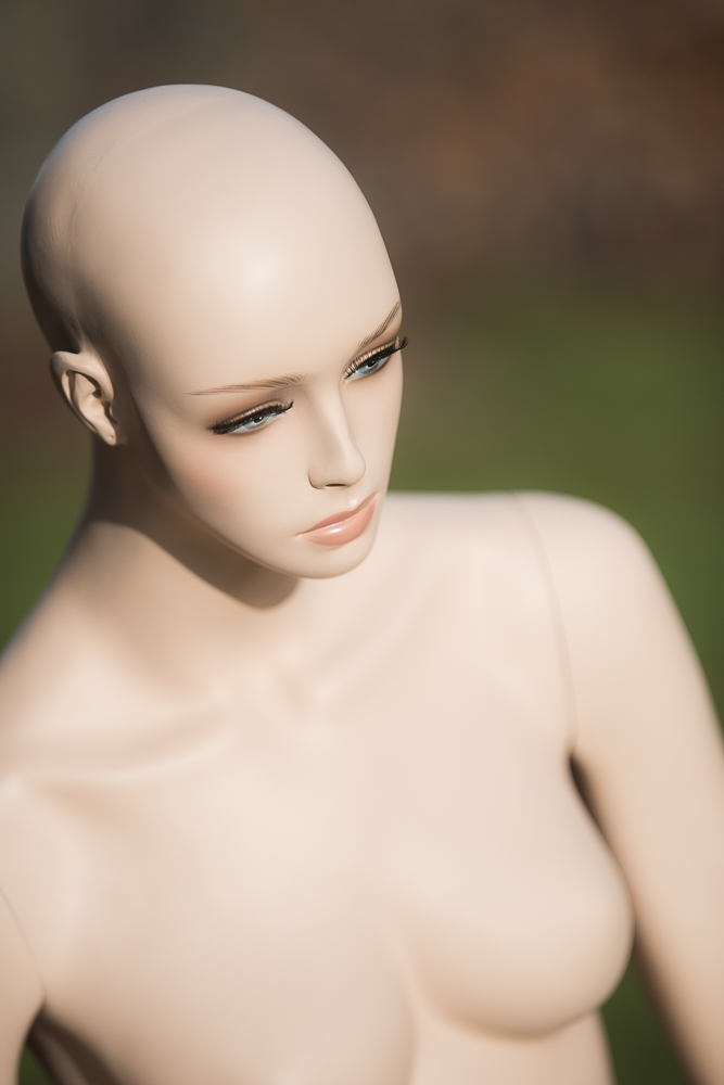 D80 8268