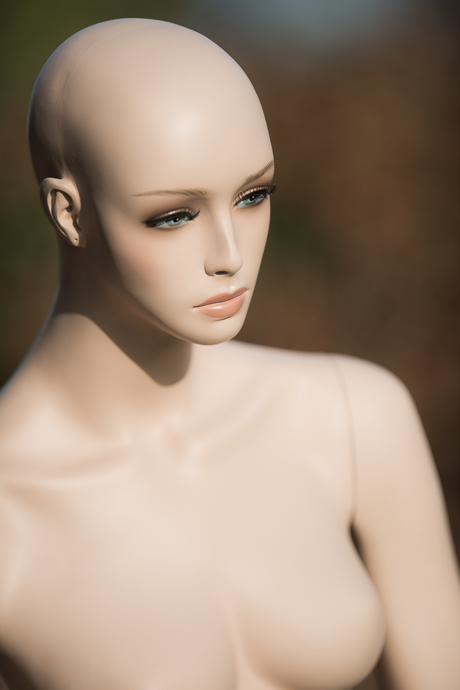 D80 8269