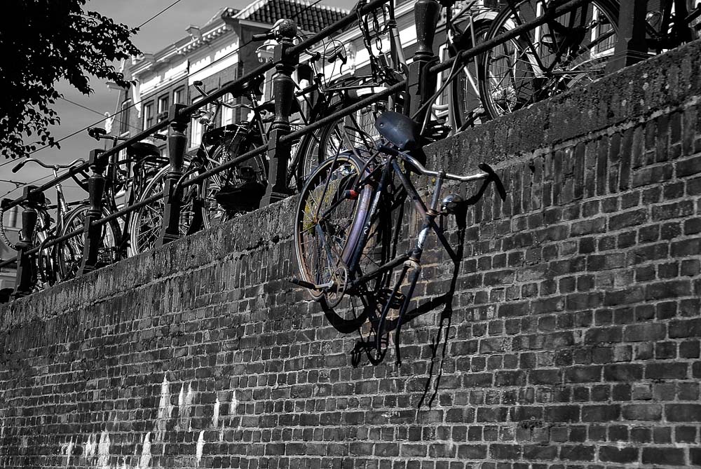 D80 Fahrrad