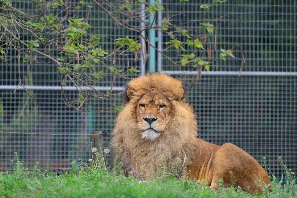 D800
AFS 70-300
VR On
Blende 5.6