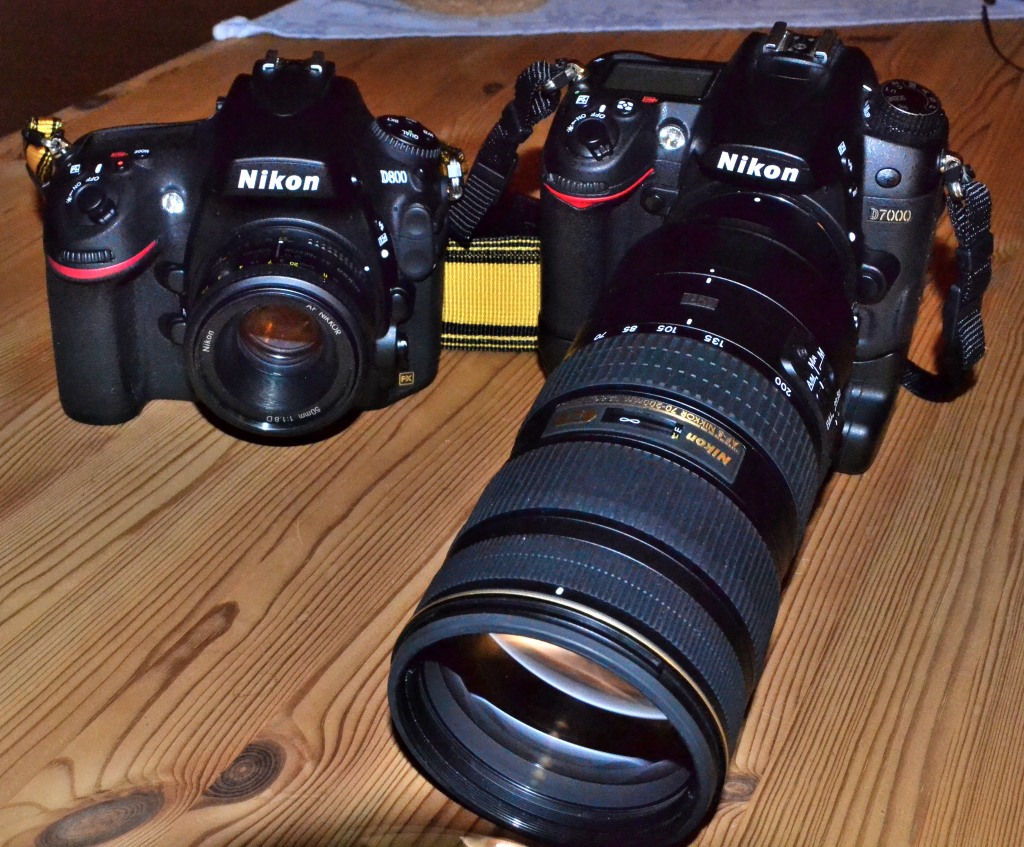 D800 vs D7000