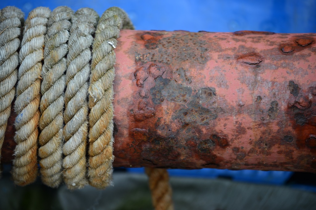 D81 6481 klein