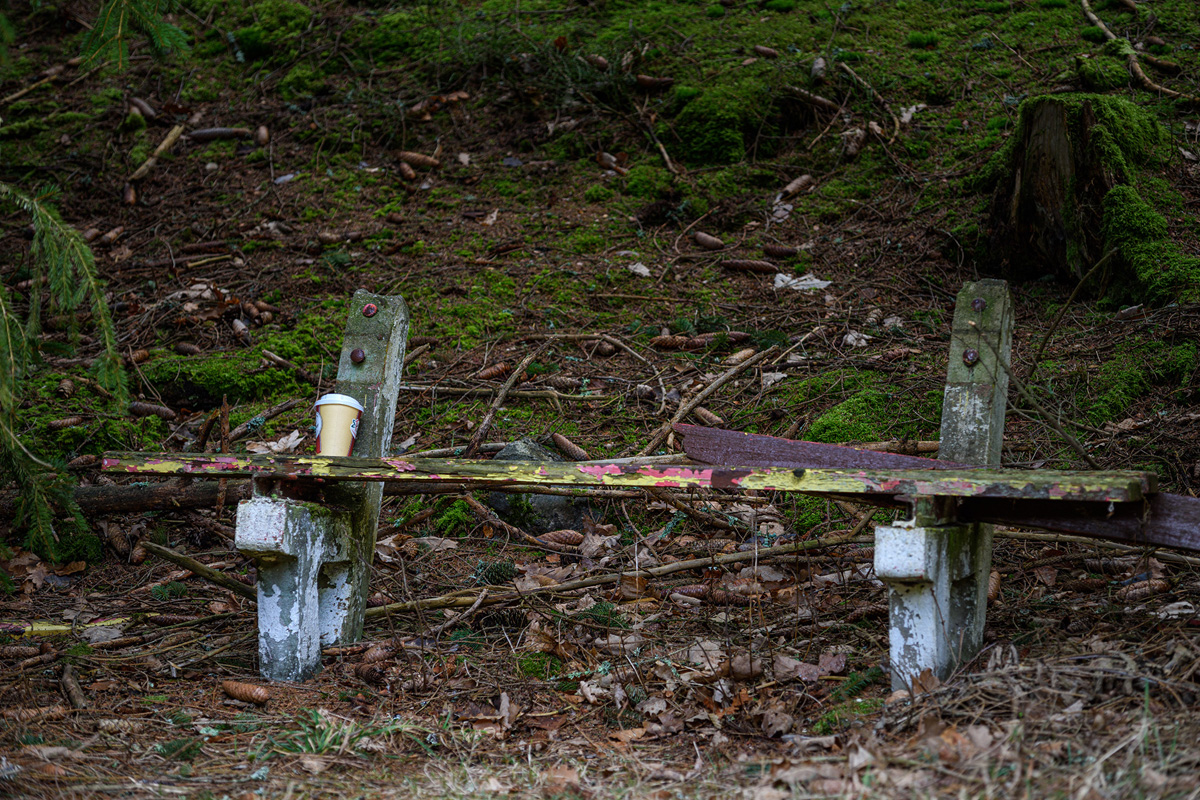 D81_1016.jpg