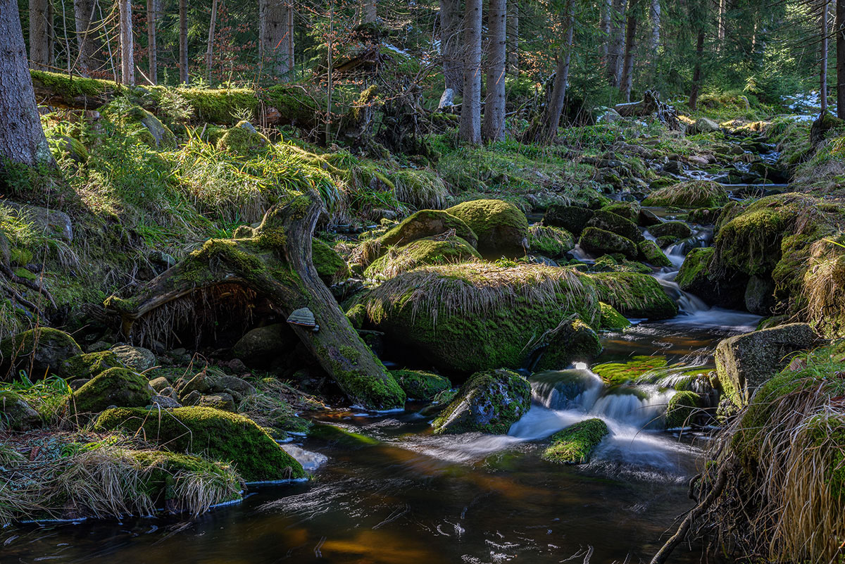 D81_1045.jpg