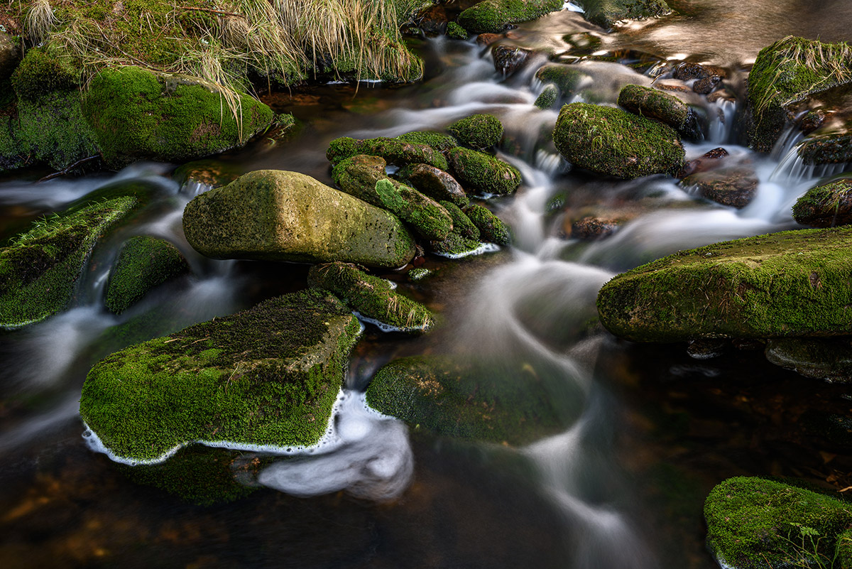 D81_1050.jpg