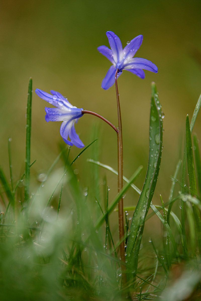 D81_1218.jpg