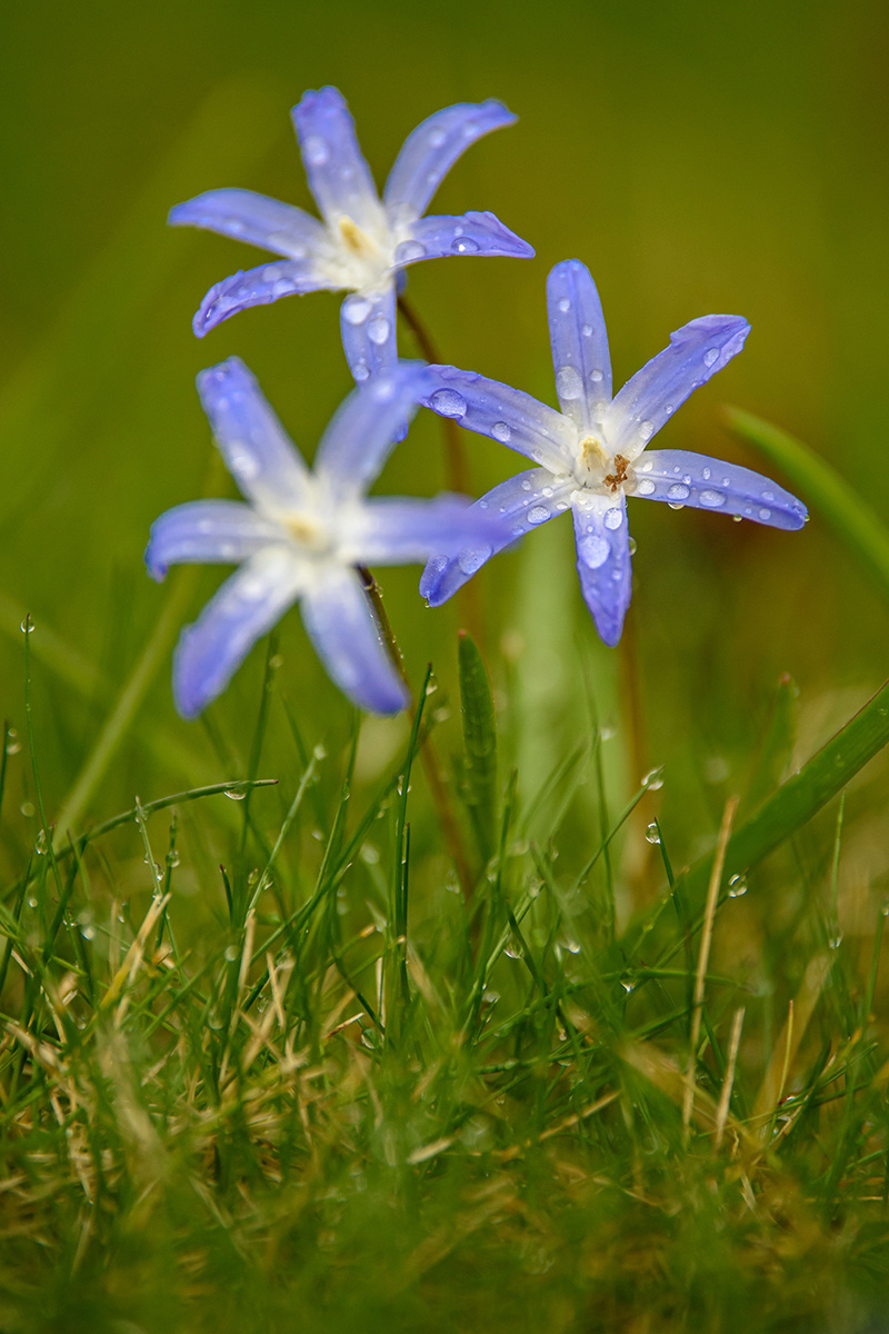 D81_1230.jpg