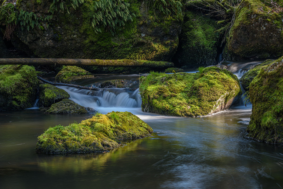 D81_1259.jpg