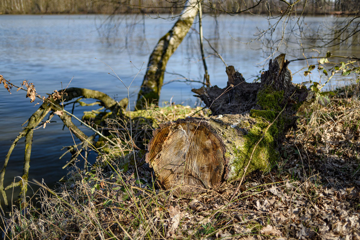D81_1334.jpg