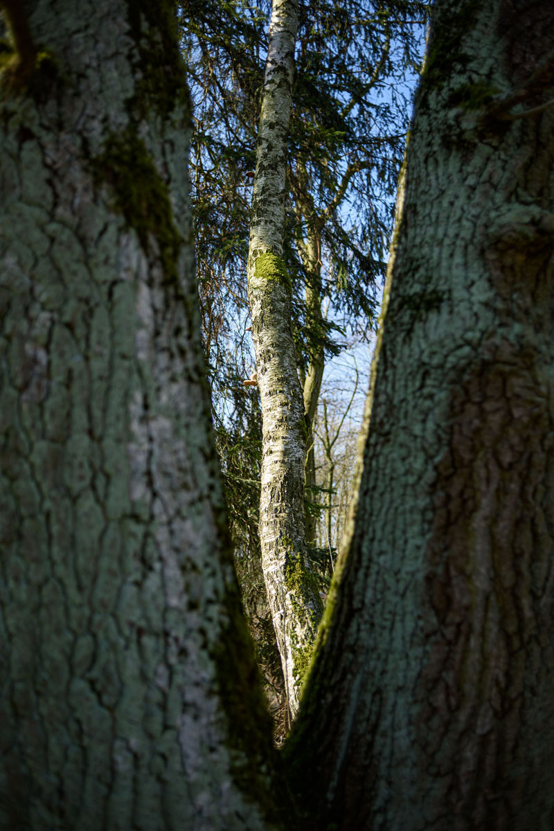 D81_1337.jpg