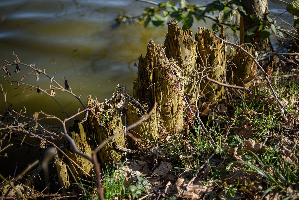 D81_1343.jpg