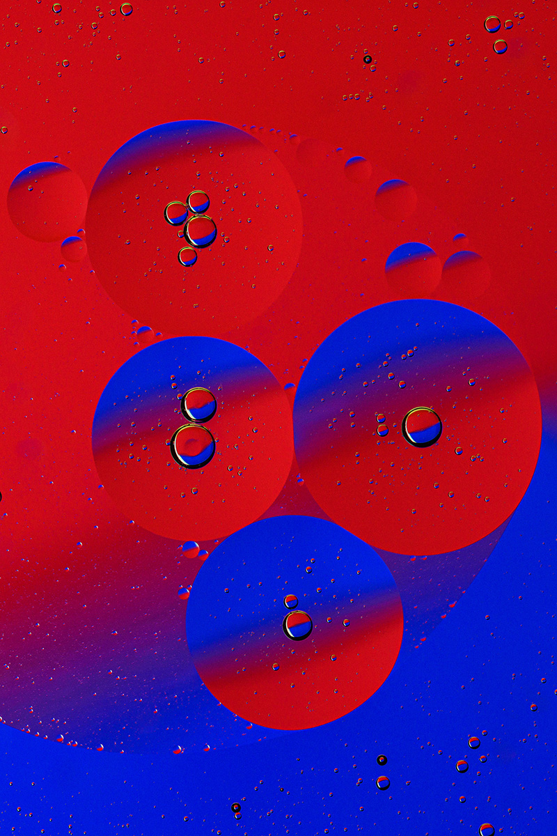 D81_1454_1.jpg