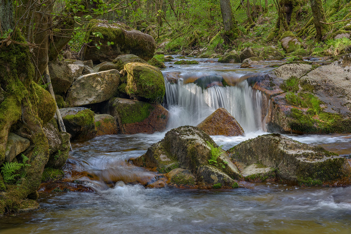 D81_2316_20a.jpg