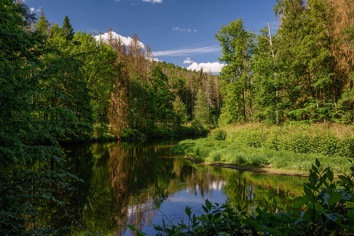 D81_2595.jpg