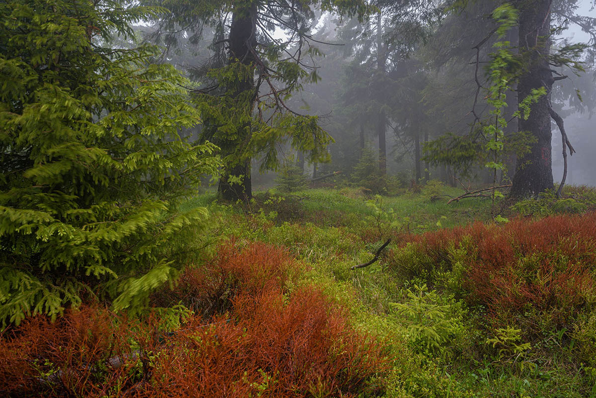 D81_2802.jpg