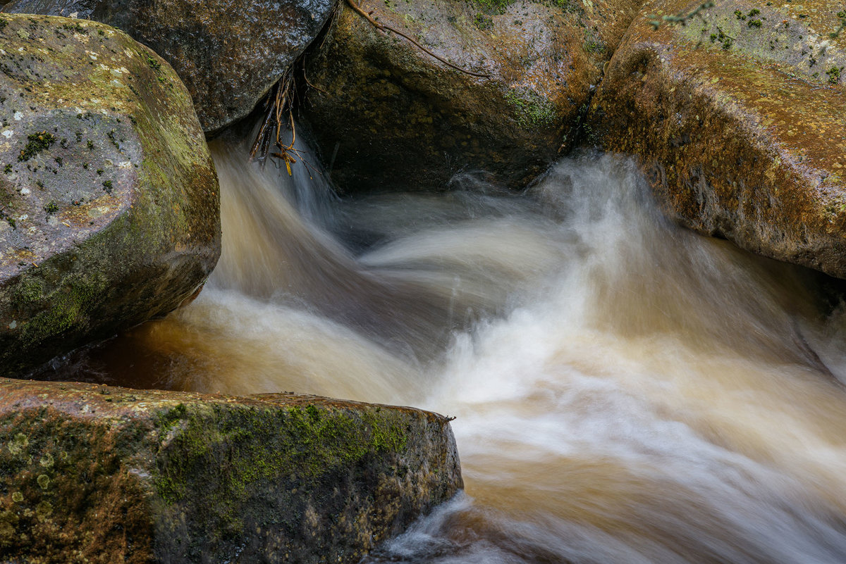 D81_2807.jpg