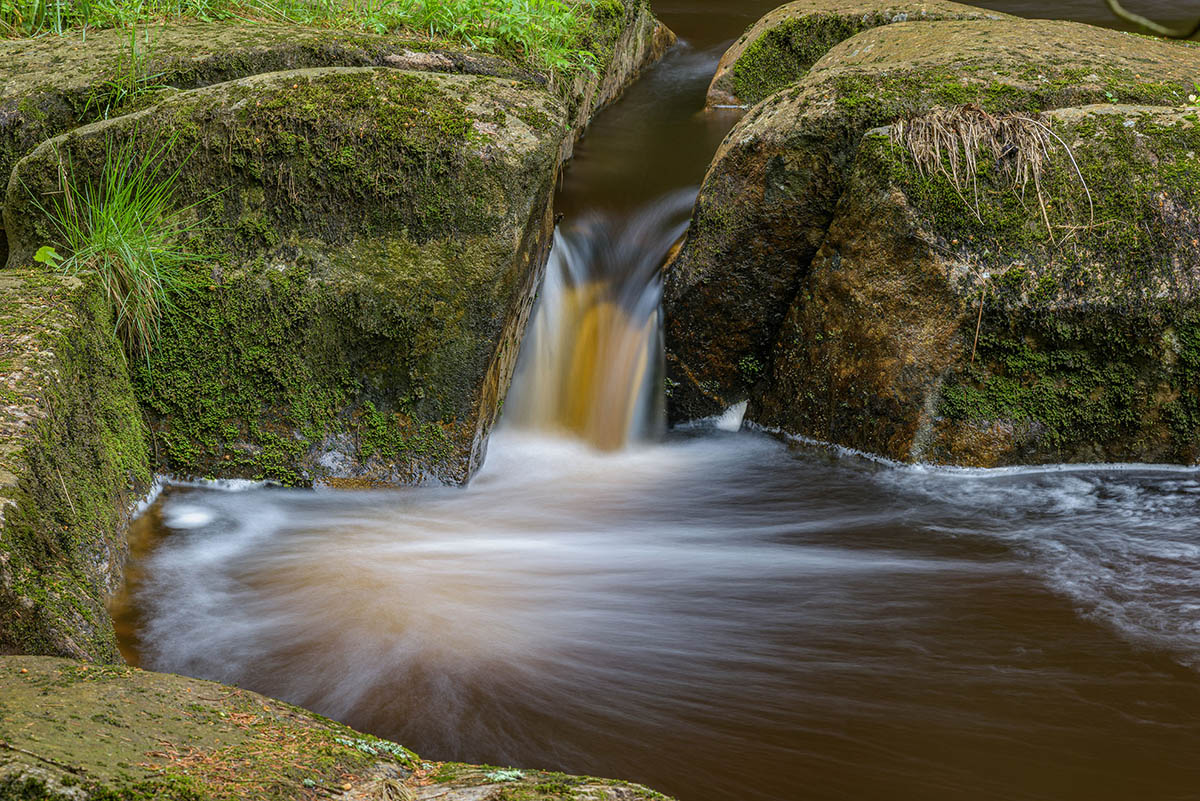 D81_2814.jpg