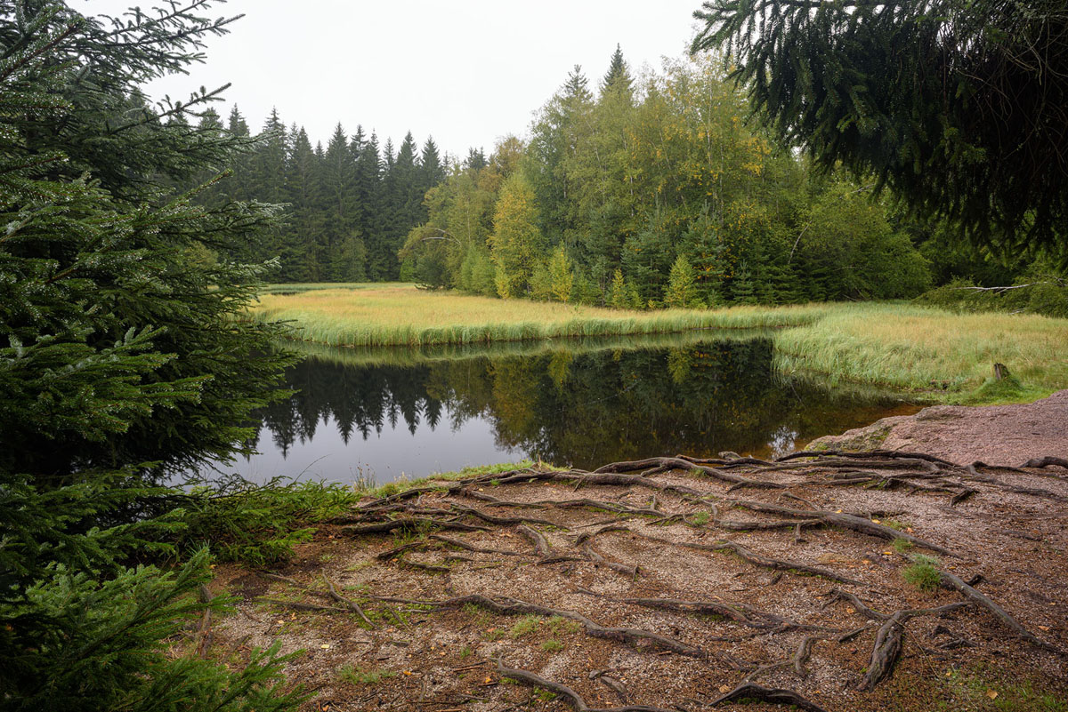D81_4754.jpg