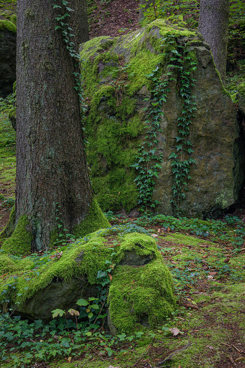 D81_4886.jpg