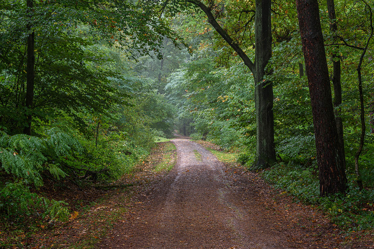 D81_5003.jpg