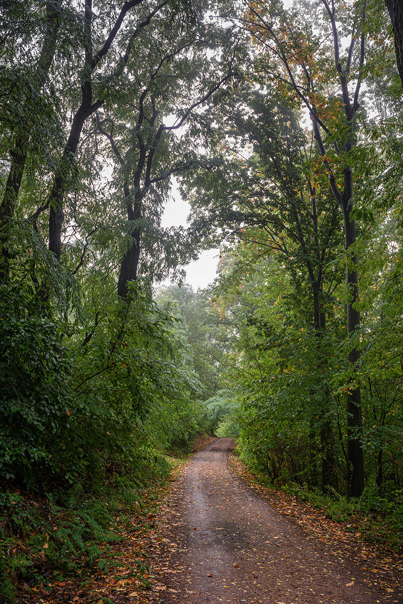 D81_5005.jpg