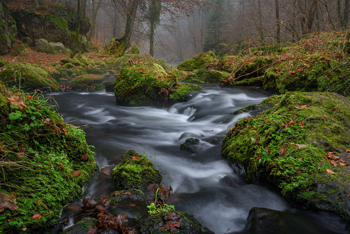 D81_5247_5.jpg