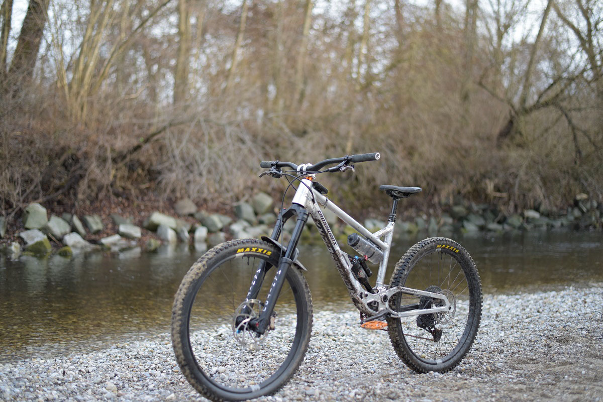 D81_6250.JPG